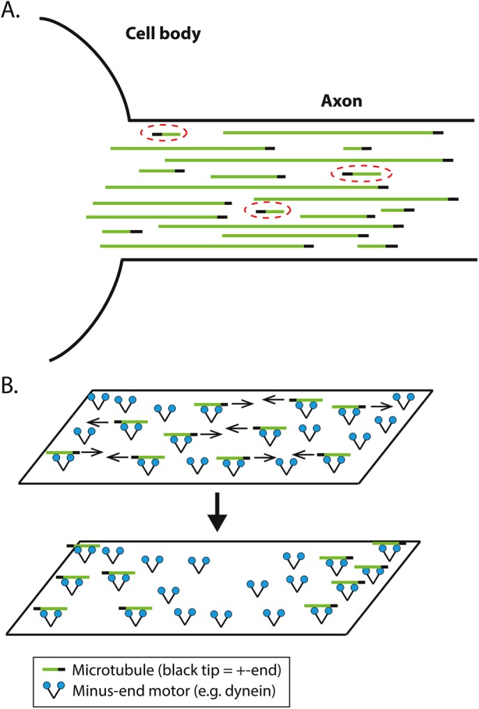 FIGURE 1: