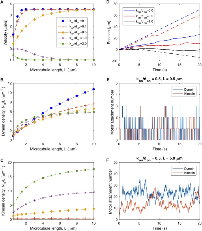 FIGURE 4: