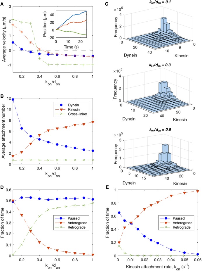 FIGURE 7: