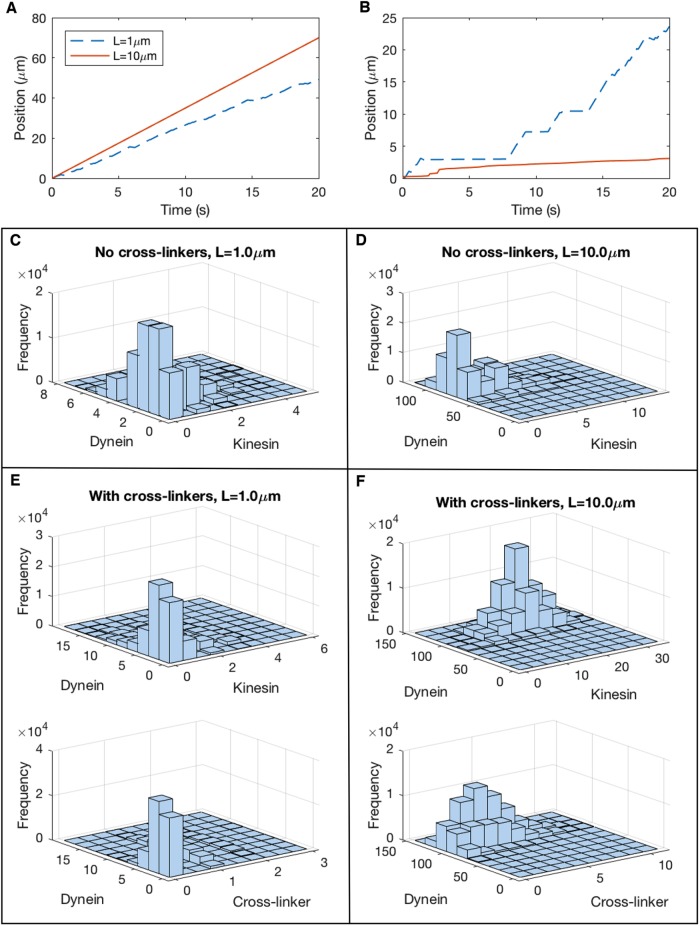 FIGURE 6: