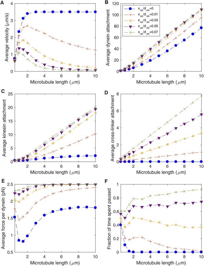 FIGURE 5: