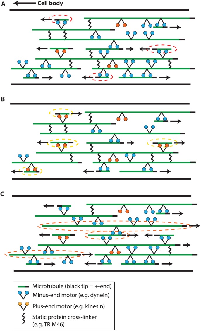 FIGURE 9: