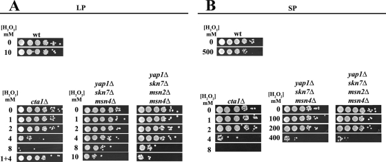 FIG. 6.