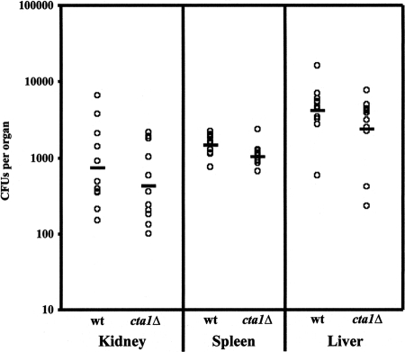 FIG. 8.