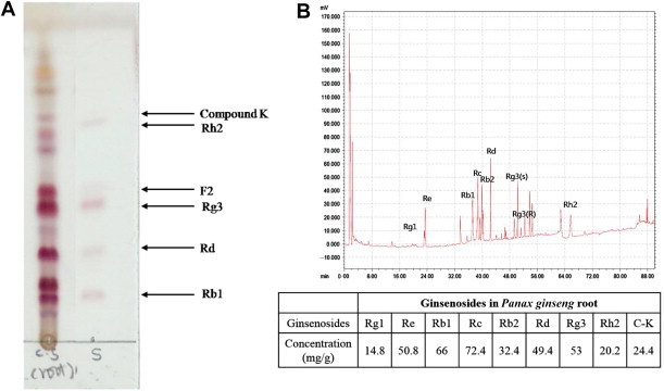 Fig. 1