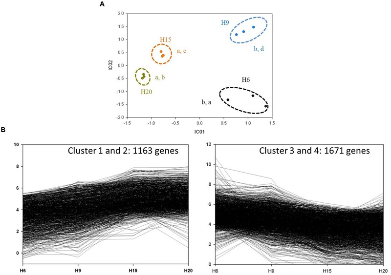 FIGURE 6