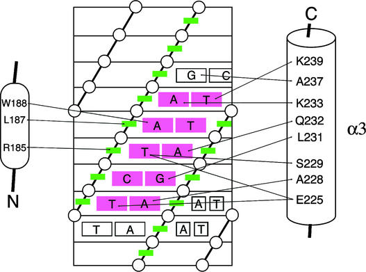 Figure 9.