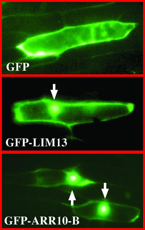 Figure 3.