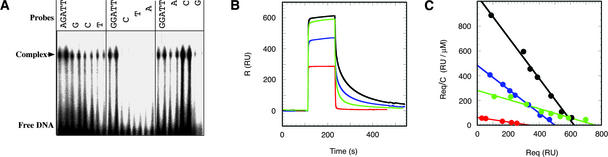 Figure 5.