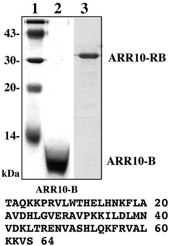 Figure 2.