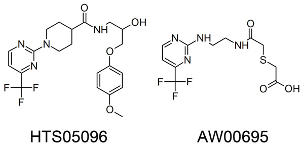 Figure 8