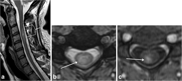 Fig. 9