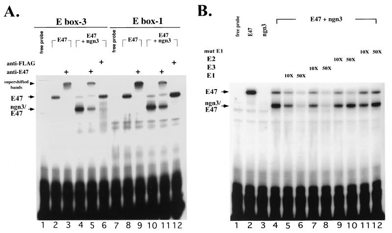 FIG. 10