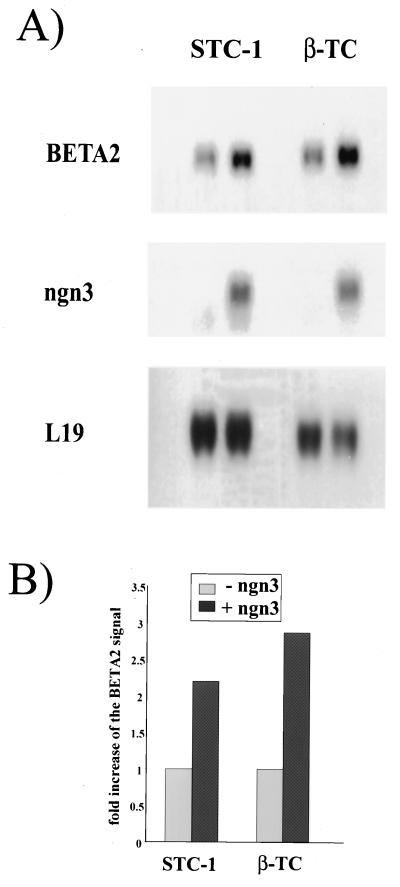 FIG. 6