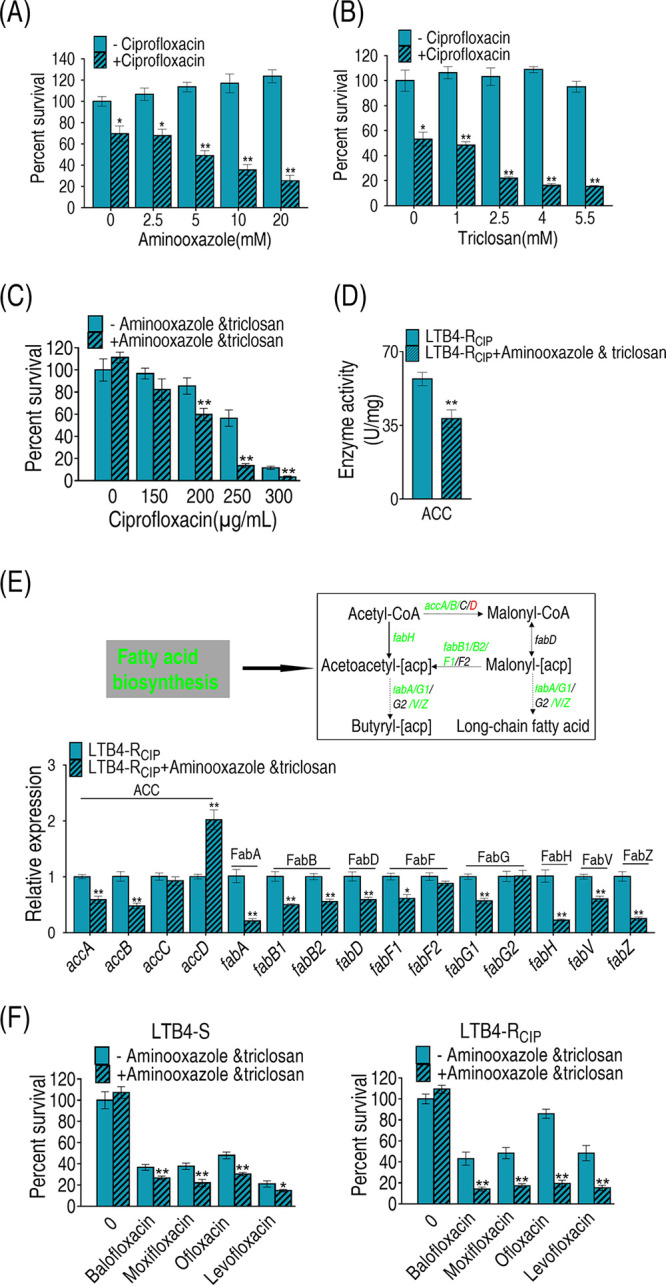 FIG 6