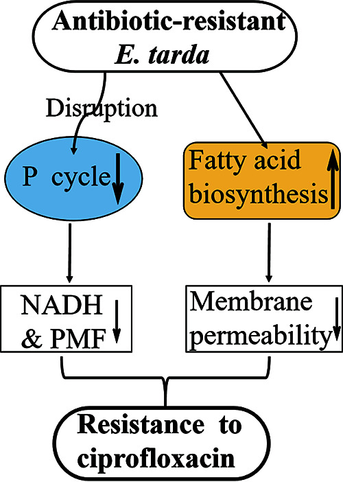 FIG 9