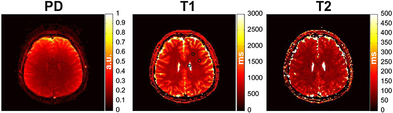 Fig. 7.