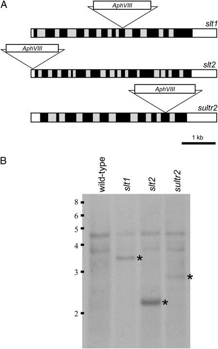 Figure 7.