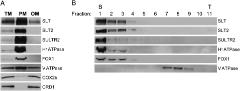 Figure 6.