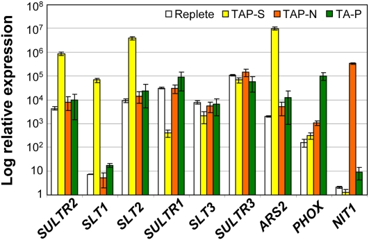 Figure 2.