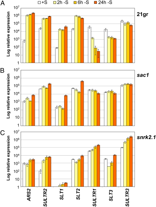 Figure 3.