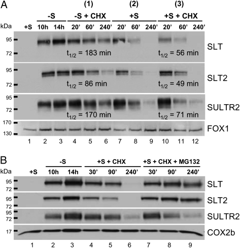 Figure 5.