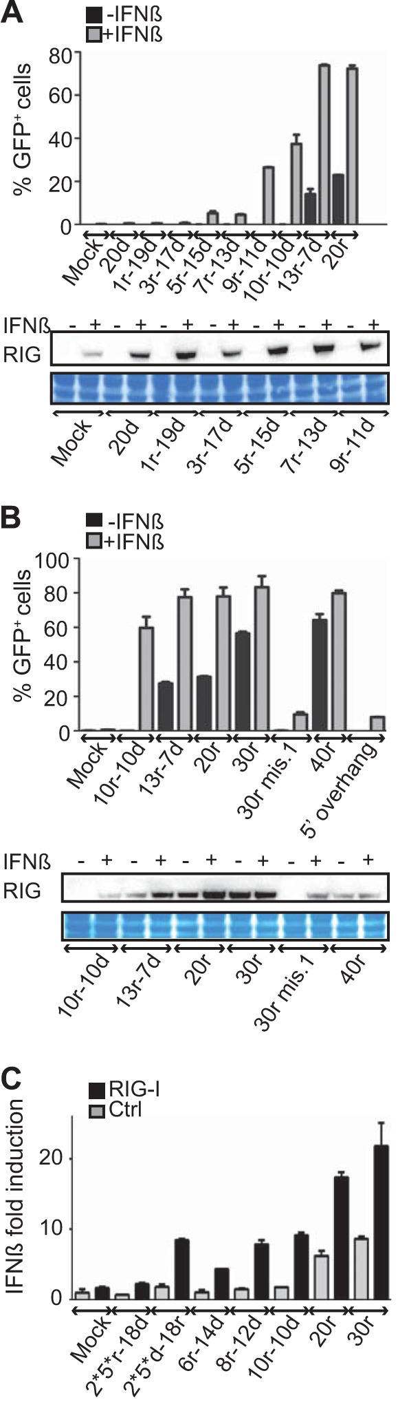 FIG 5 