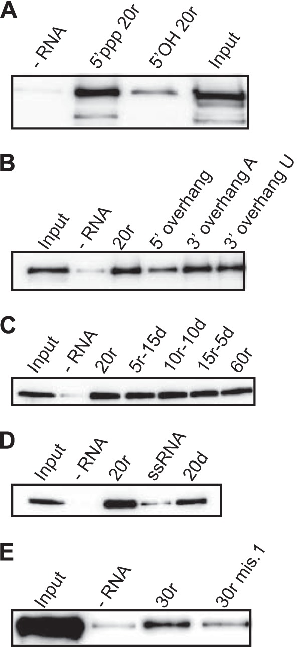 FIG 1 