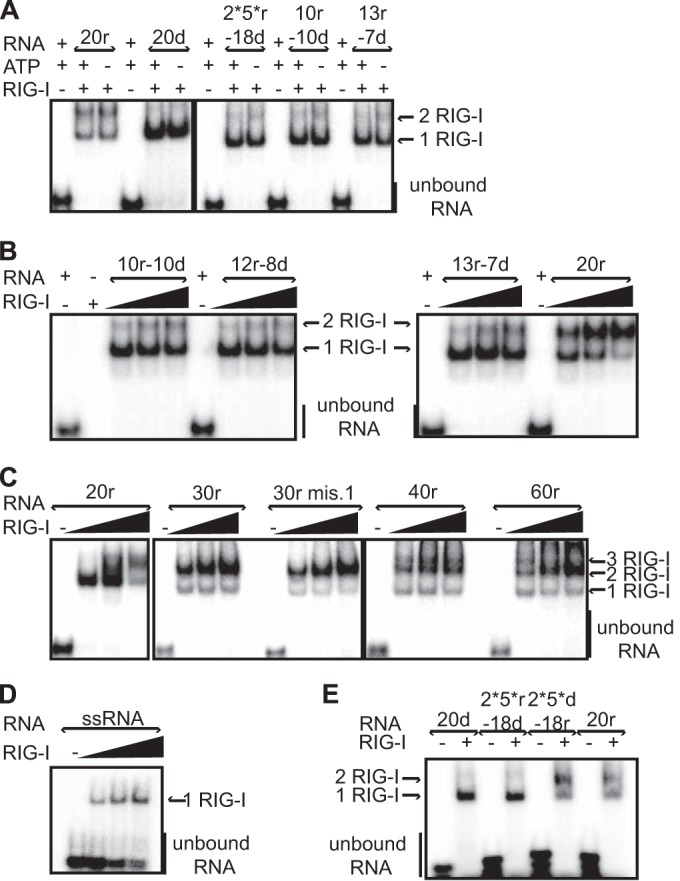 FIG 6 