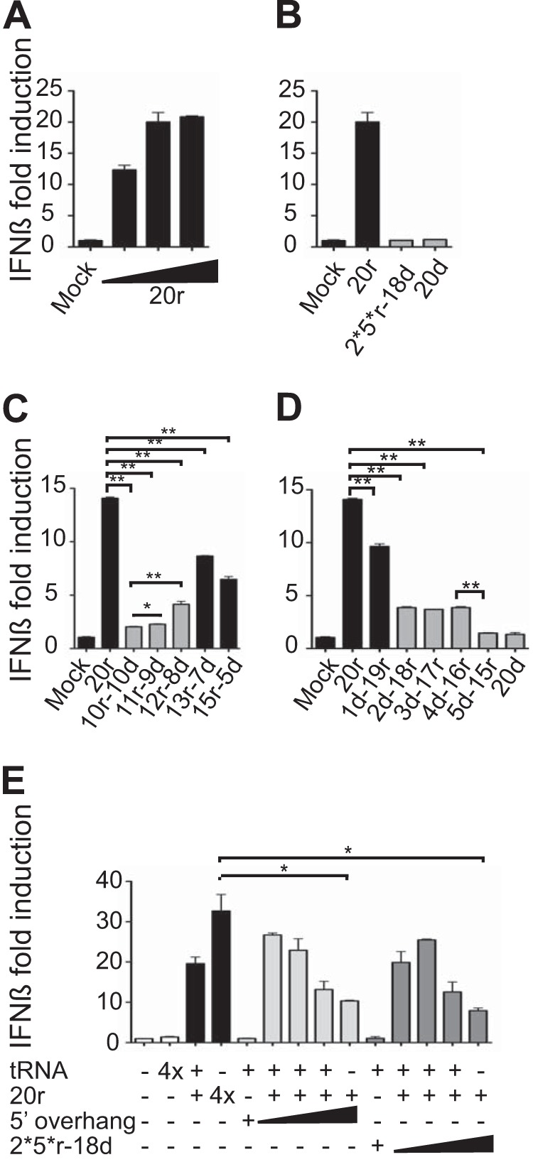 FIG 3 