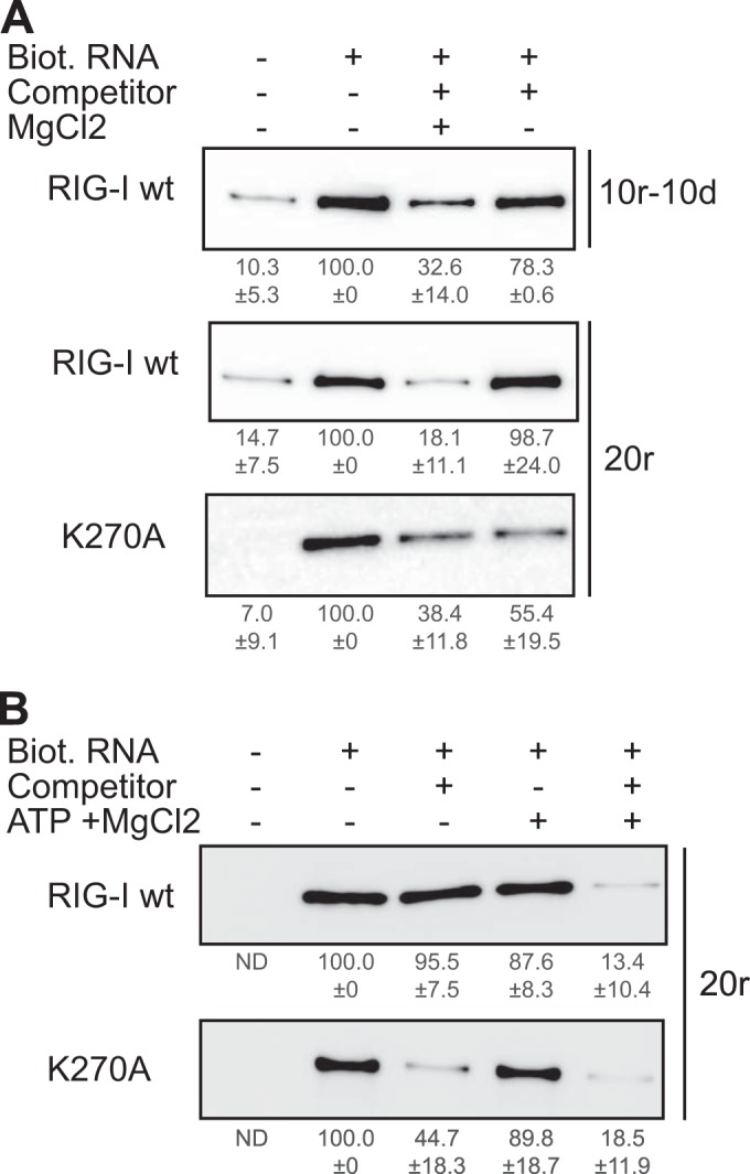 FIG 4 