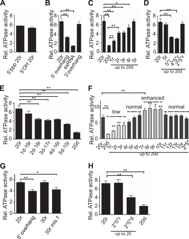 FIG 2 