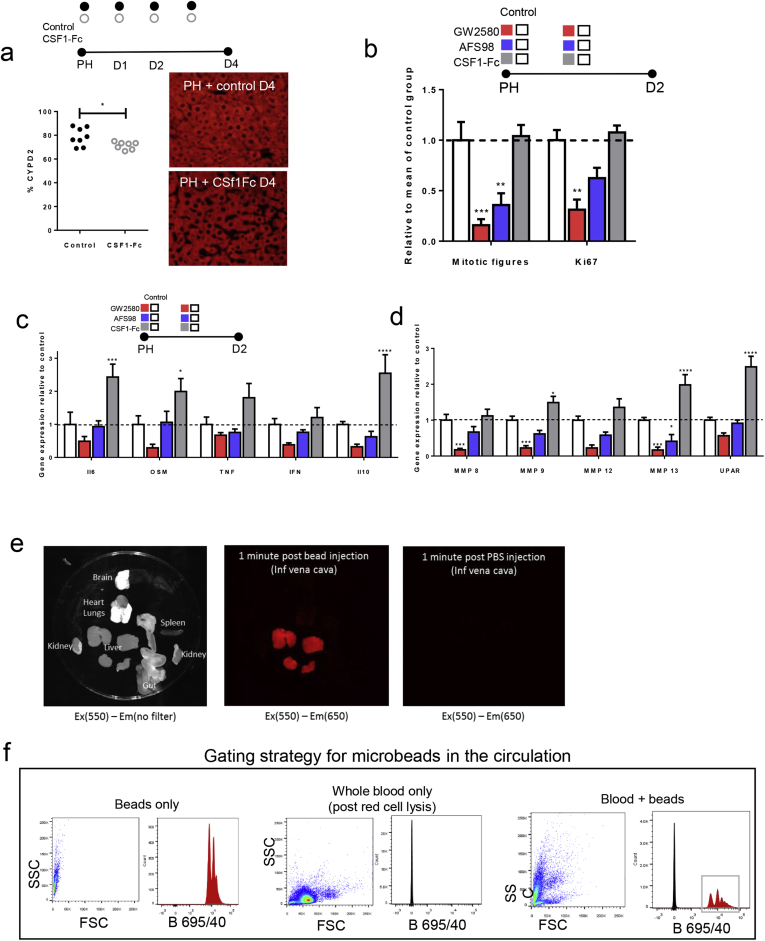 Supplementary Figure 5