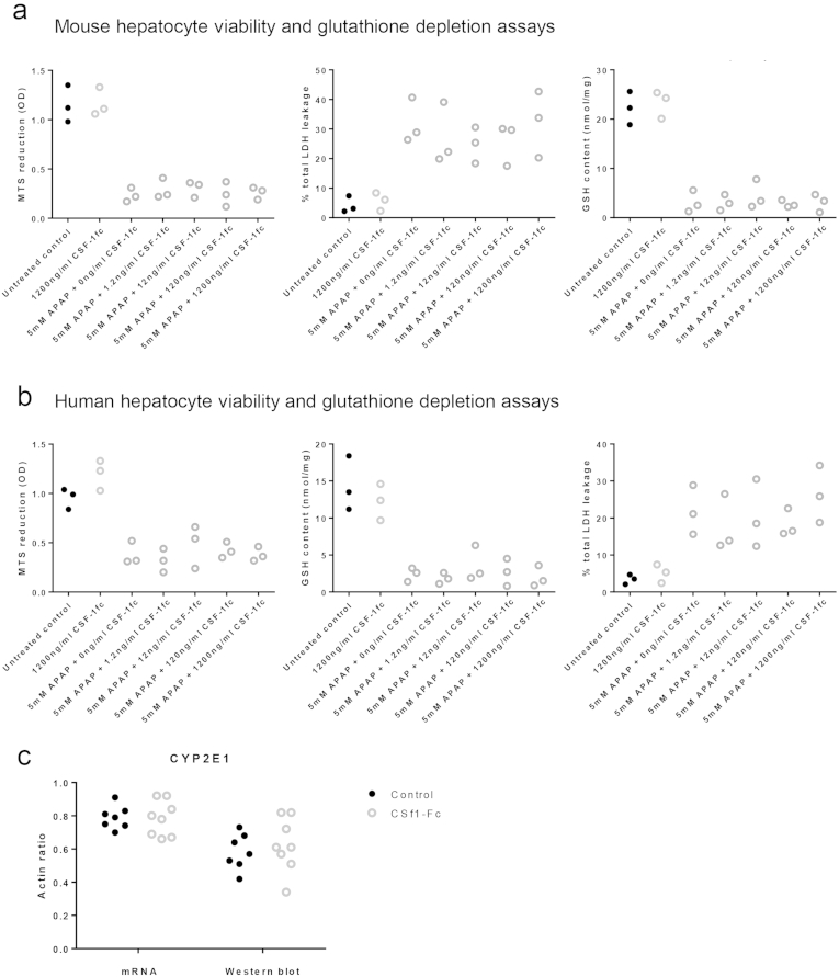 Supplementary Figure 7