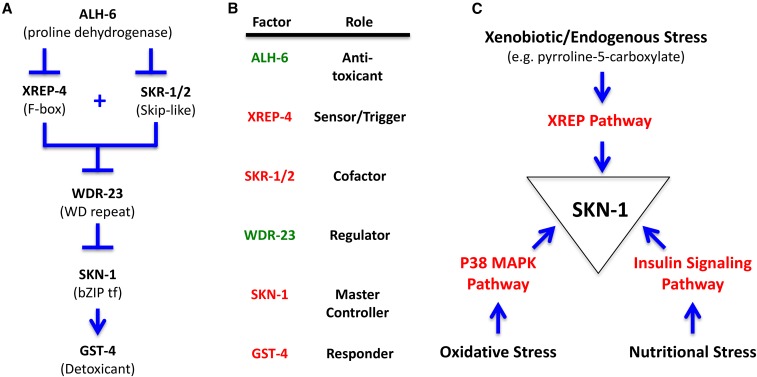 Figure 7