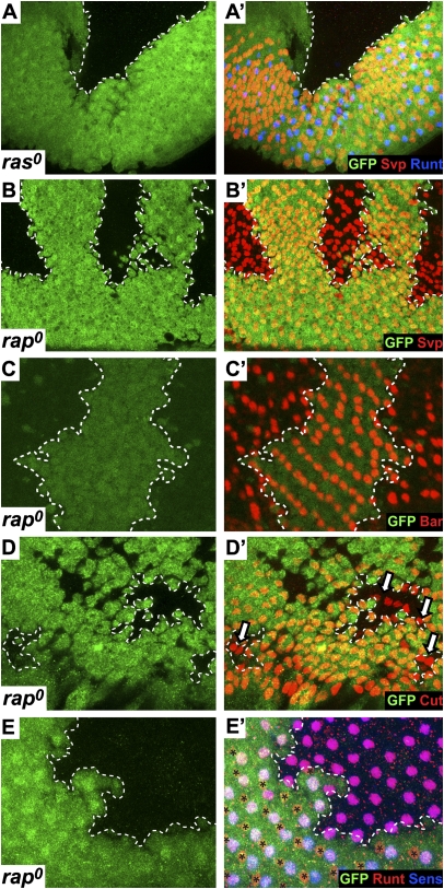 Fig. 2.