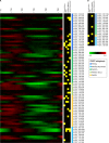 FIG 6