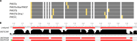 FIG 5