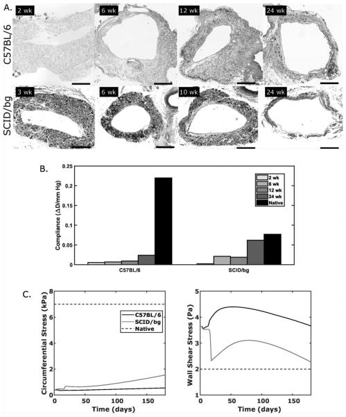 Fig. 5.