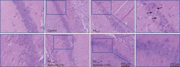 Fig. 7.