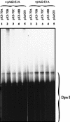 FIG. 6