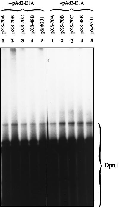 FIG. 6