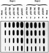 FIG. 5