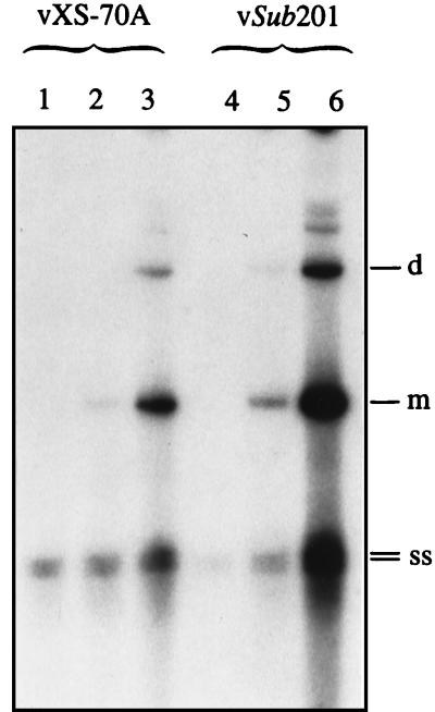 FIG. 7