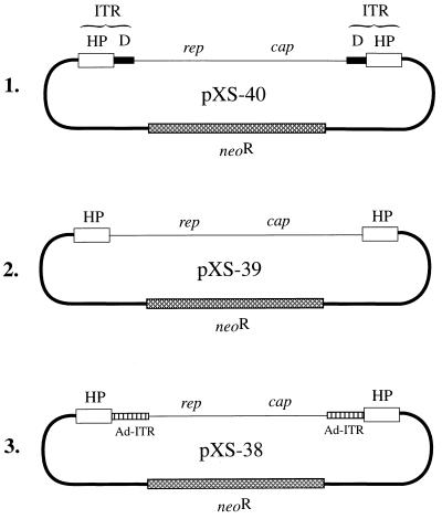 FIG. 8