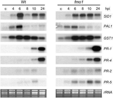 Figure 5.