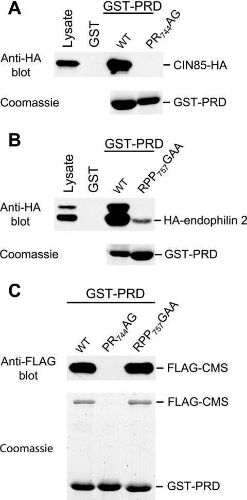 FIG. 8.