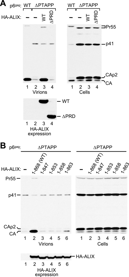 FIG. 6.