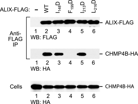 FIG. 4.