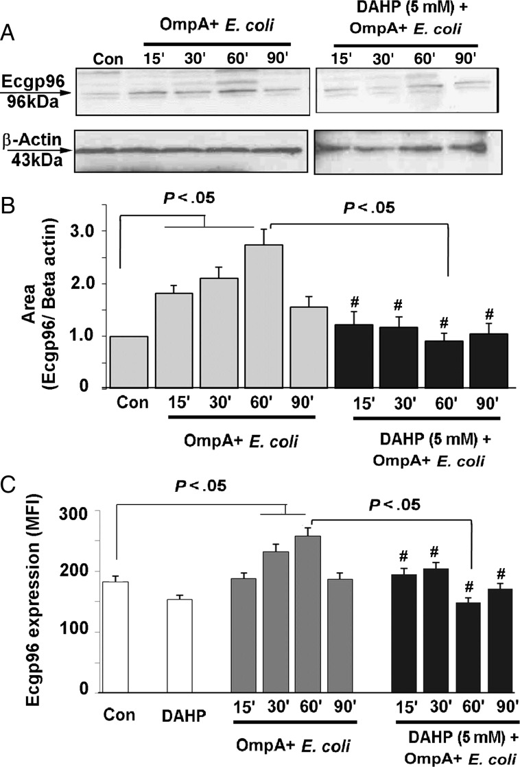 Figure 4.